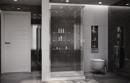 DUSHEVOY_UGOLOK_AMBASSADOR_KINGSTON_14011103_100X100_5