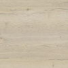 00_00009981cf_5.jpg