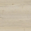 00_00006557cf_5.jpg